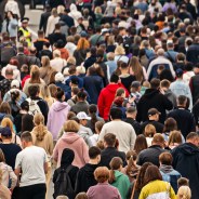 Stickers Item image #9