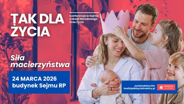 Daily Item image #11