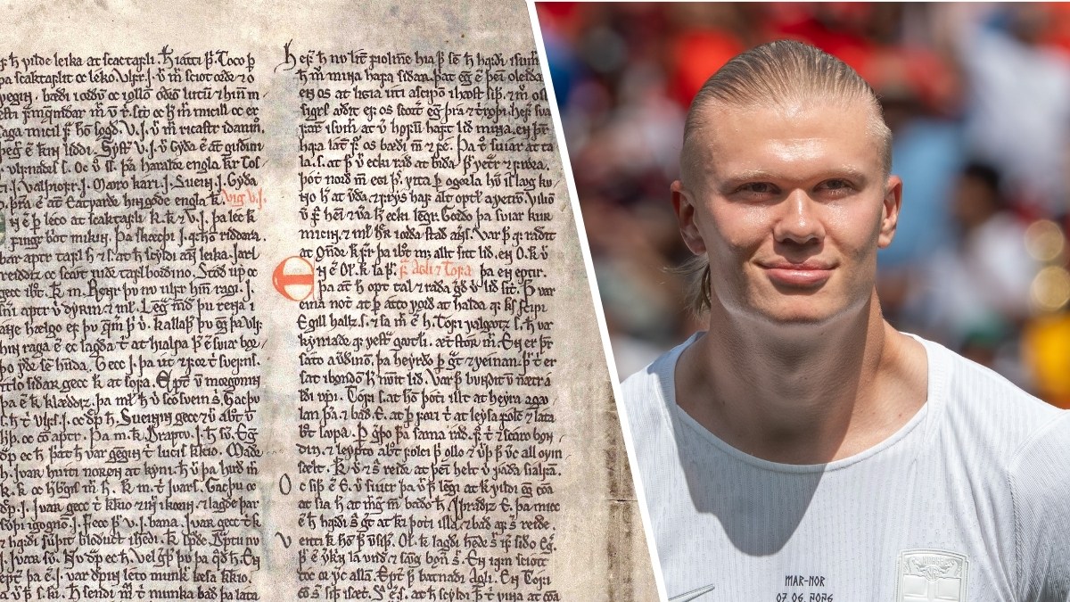 haaland-book.jpg